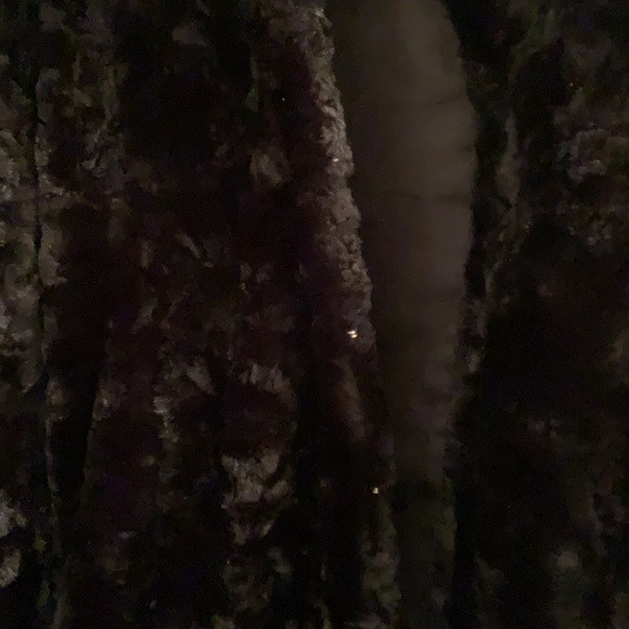 Coat - Picture 4 of 5